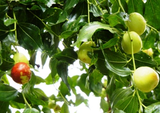 f:id:kamasyakyo:20110921162910j:image