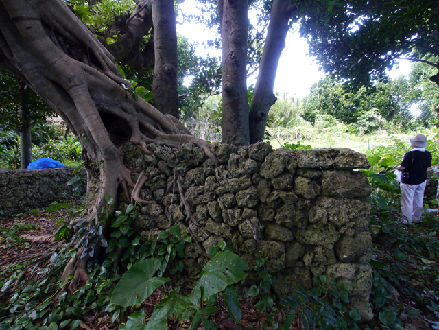 f:id:kamata0328:20120911143808j:image:w640 f:id:kamata0328:20120911143808j:image:w640