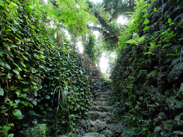f:id:kamata0328:20120911155455j:image:w640 f:id:kamata0328:20120911155455j:image:w640