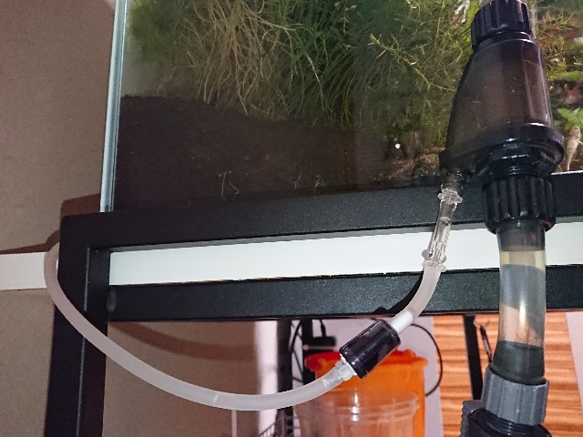 f:id:kamatarinahan:20190106210036j:image f:id:kamatarinahan:20190106210036j:image