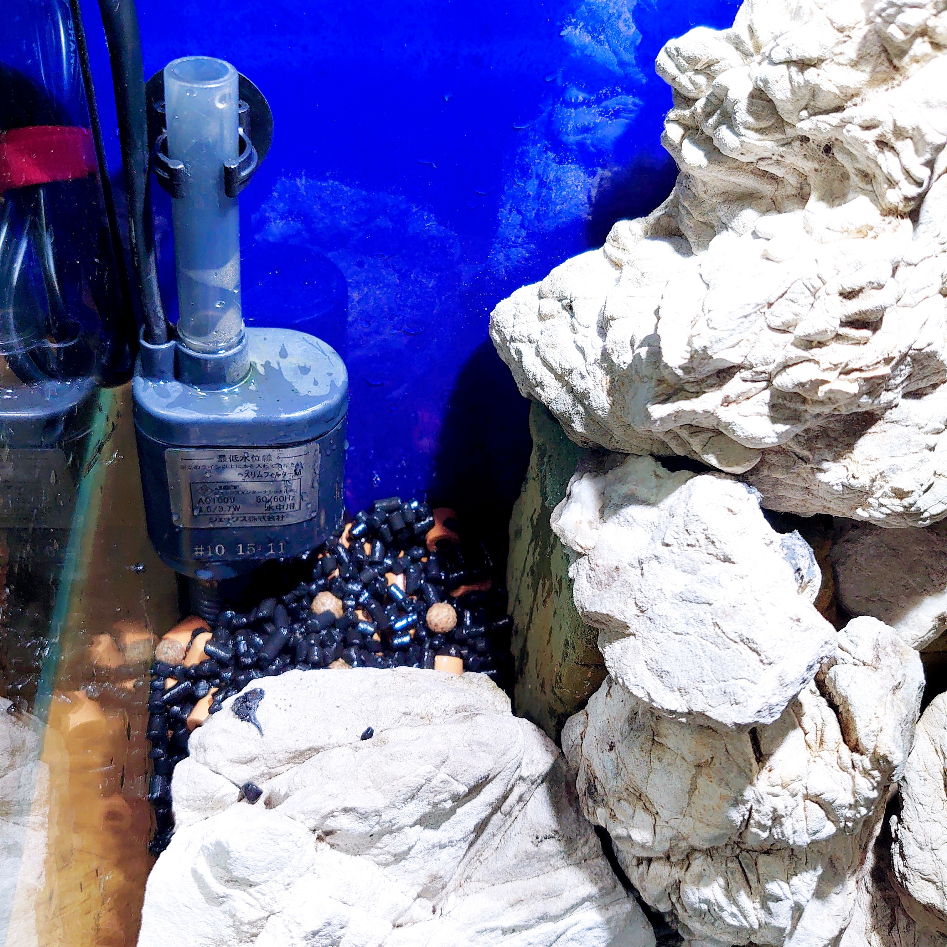 262 外掛式フィルターポンプの活用法 Kamatarinahan S Blog Aquarium 262 外掛式フィルターポンプの活用法 Kamatarinahan S Blog Aquarium