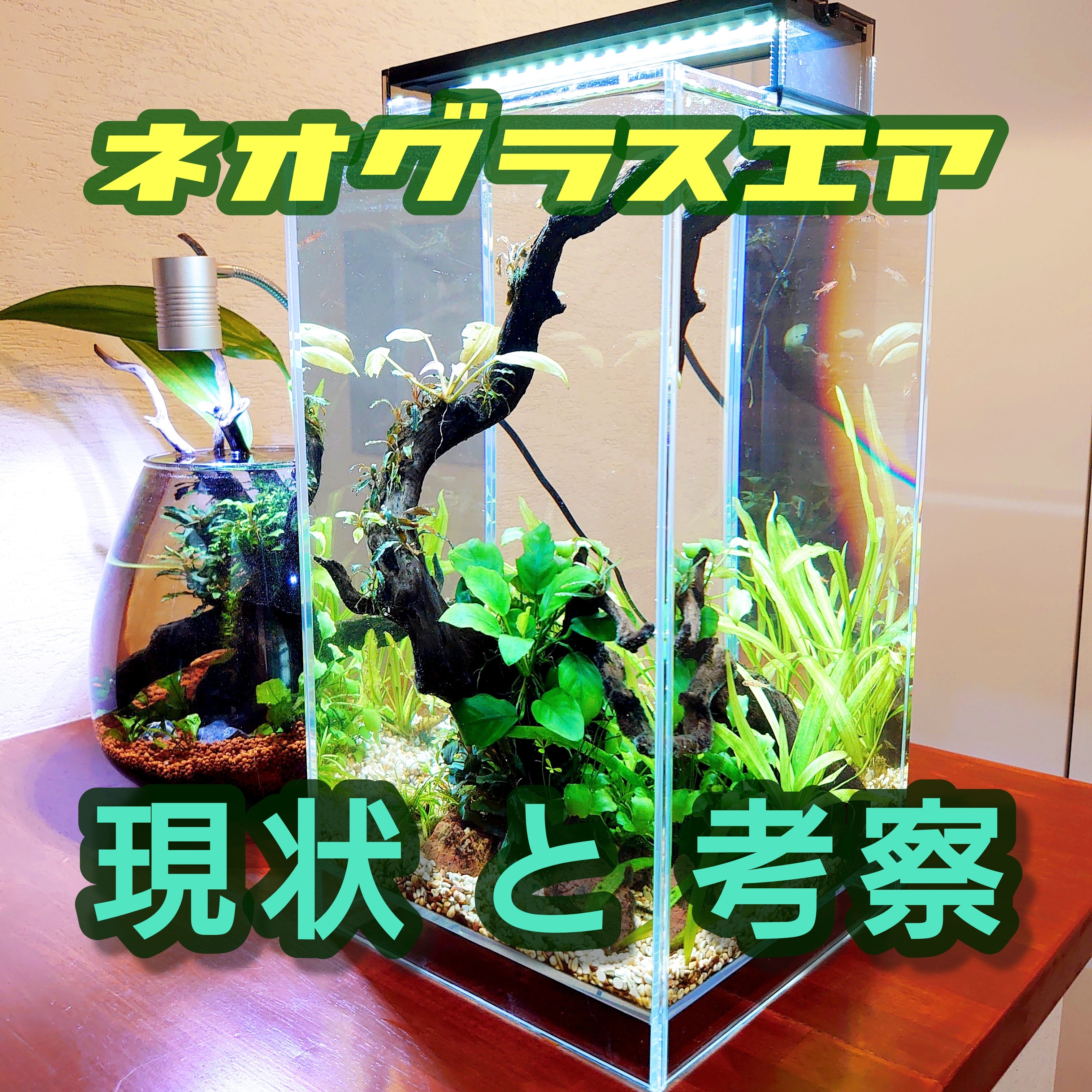 ネオグラス　エア NEO GLASS AIR | PRODUCTS | DOOA