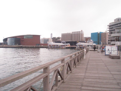 f:id:kamayan:20110301133530j:image