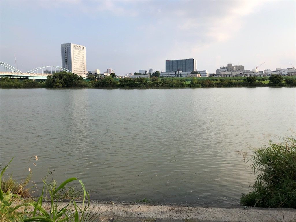 f:id:kame-nagare:20240827215834j:image