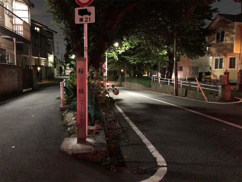 f:id:kame-nagare:20240908222035j:image