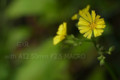 20110215205848
