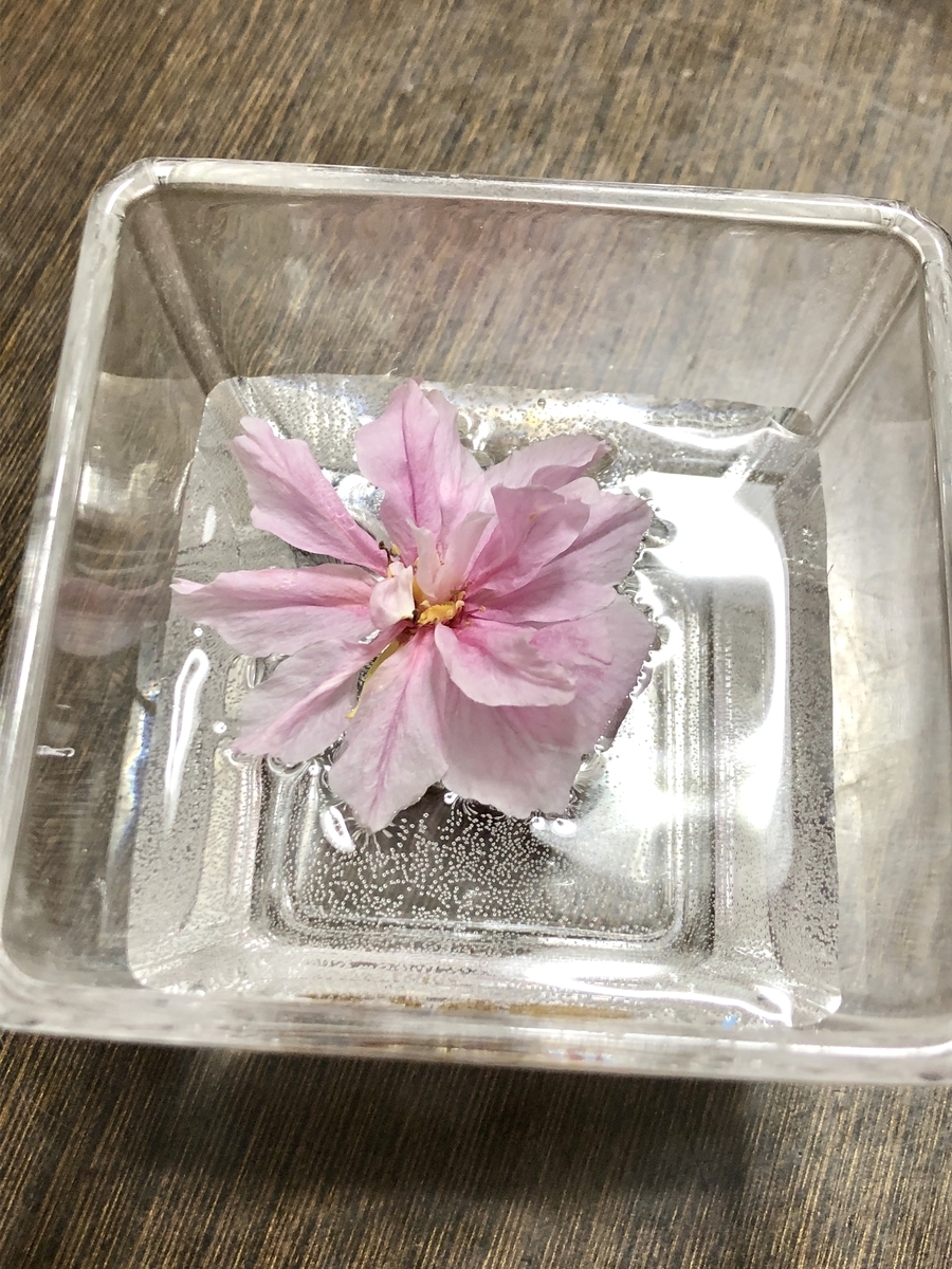 f:id:kame-ru2021:20210531161355j:plain