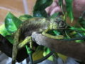 20100410000748