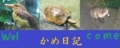 kamenikki