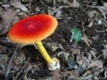 20110119001735