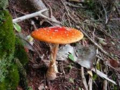 20110119001810