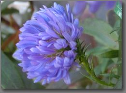 f:id:kame710:20131225101957j:plain