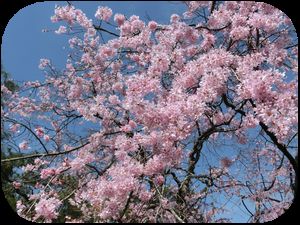 f:id:kame710:20140403095103j:plain