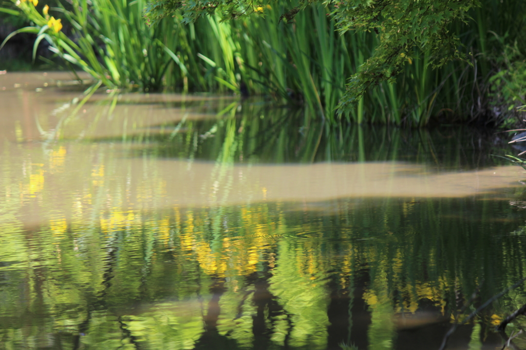 f:id:kame710:20160513112328j:plain f:id:kame710:20160513112328j:plain