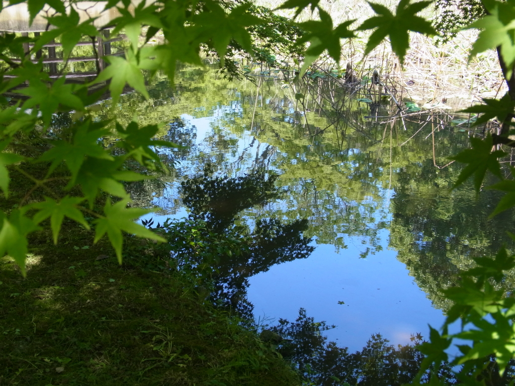 f:id:kame710:20160513112405j:plain f:id:kame710:20160513112405j:plain