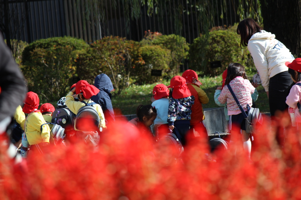 f:id:kame710:20161116101717j:plain f:id:kame710:20161116101717j:plain