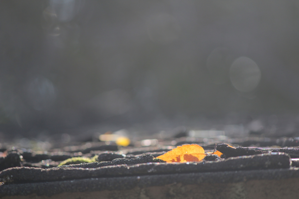 f:id:kame710:20161116101940j:plain f:id:kame710:20161116101940j:plain