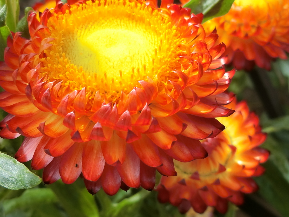 f:id:kame710:20200610085040j:plain