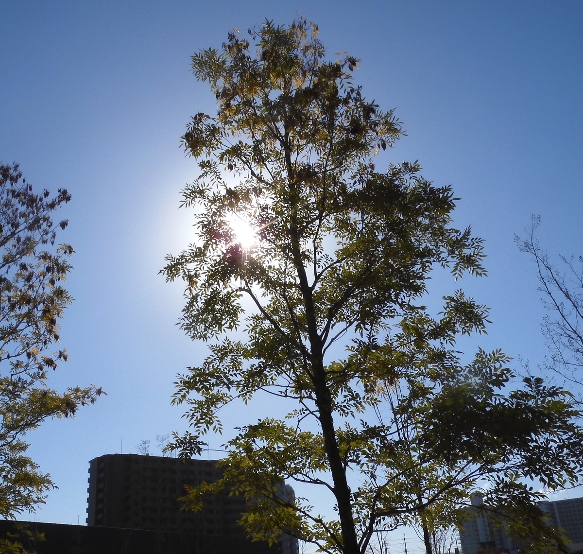 f:id:kame710:20211209103739j:plain