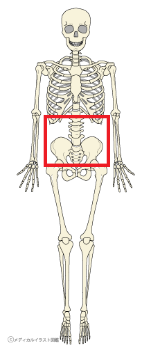 f:id:kame7pilates:20210826150854p:plain