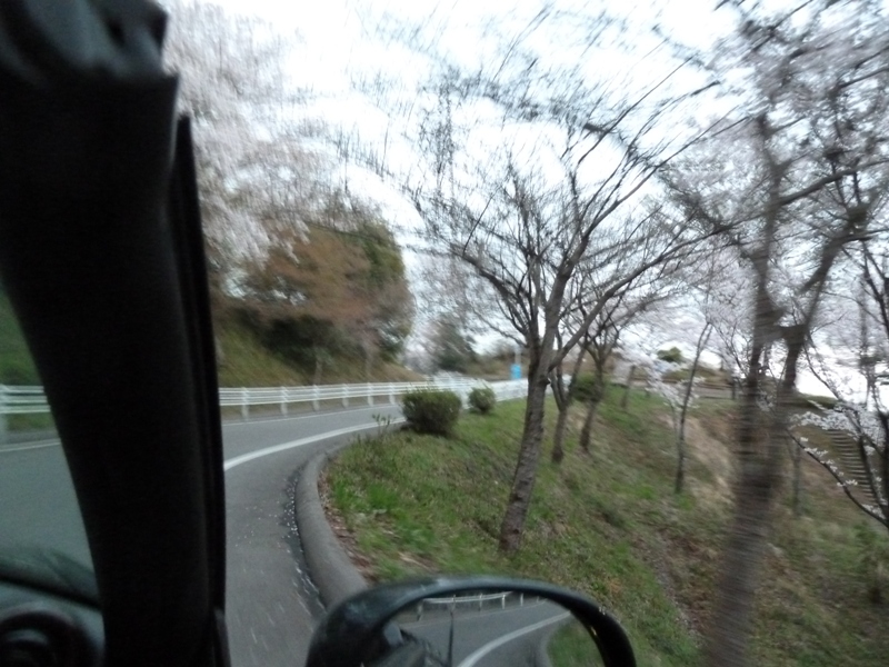 摂津峡桜公園