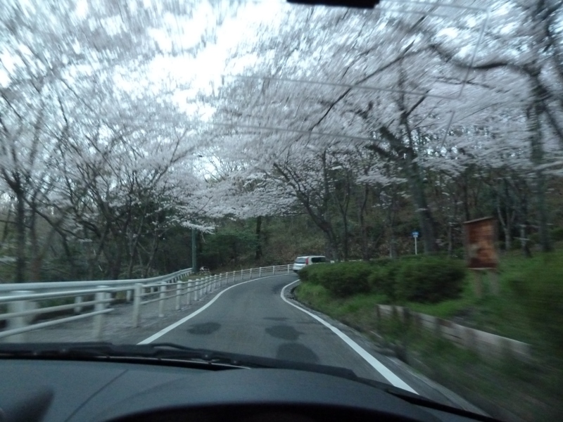 摂津峡桜公園
