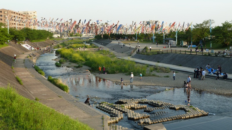 芥川公園 鯉のぼり 1