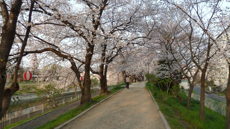 20120408172338