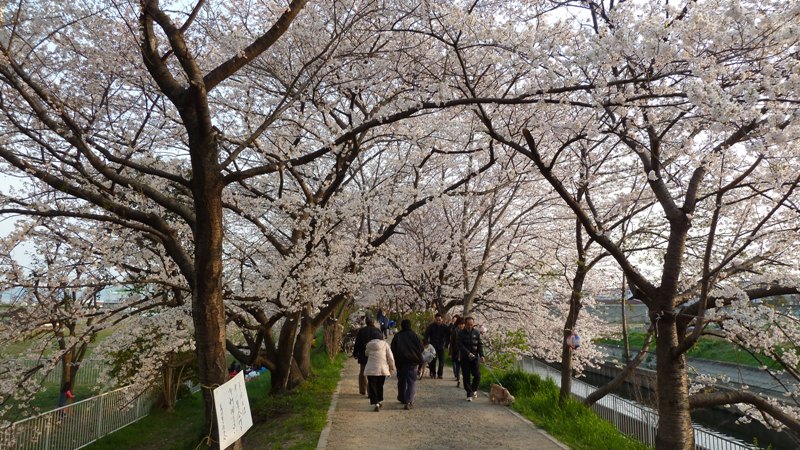 20120408172648