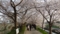 20120408172648