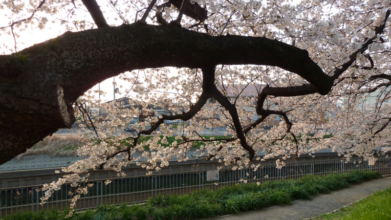 20120408173207