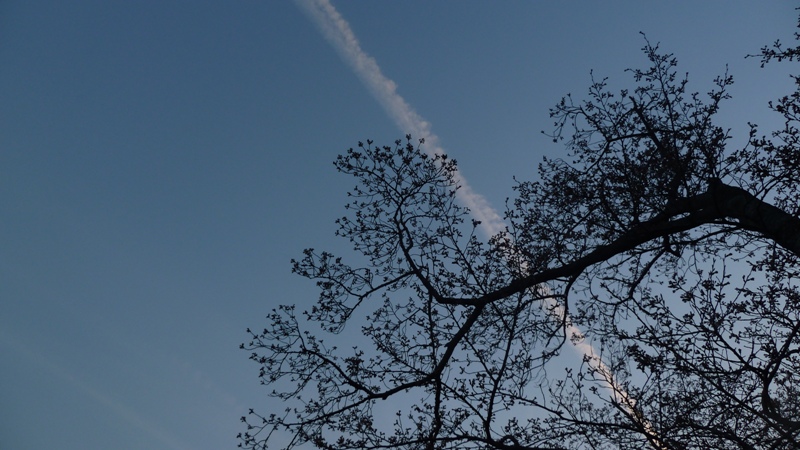 20120408182302