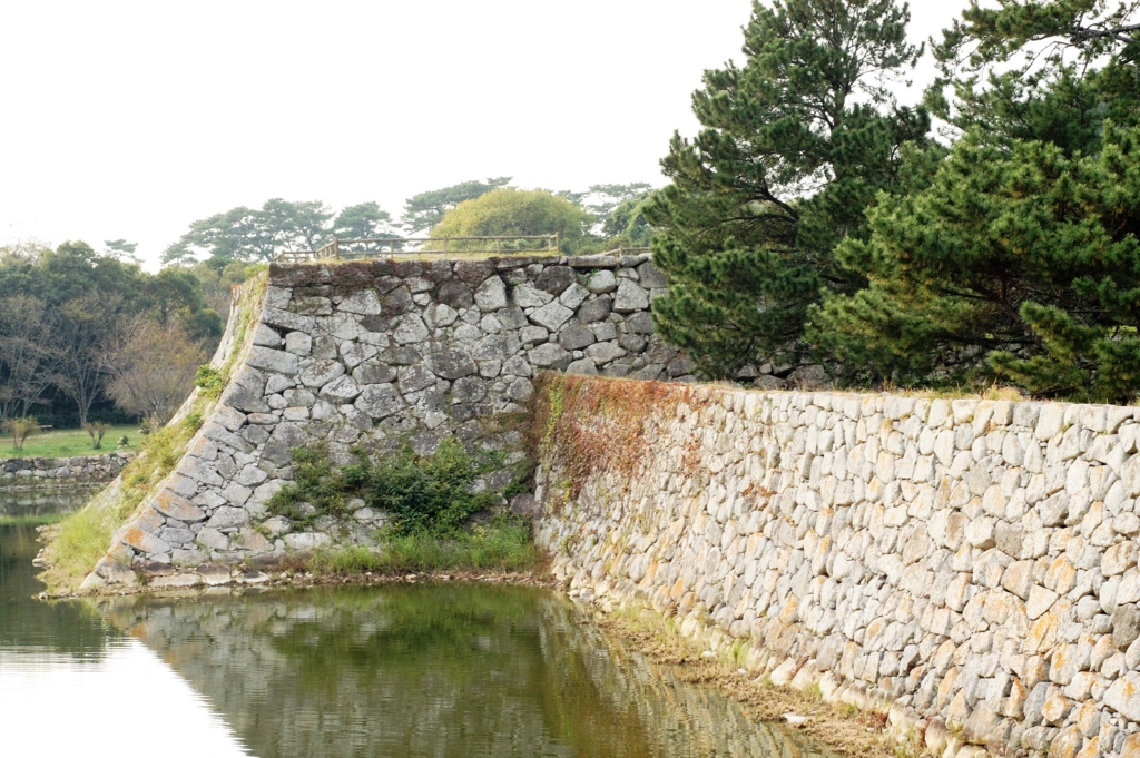 f:id:kameKiKu:20161116213412j:plain f:id:kameKiKu:20161116213412j:plain