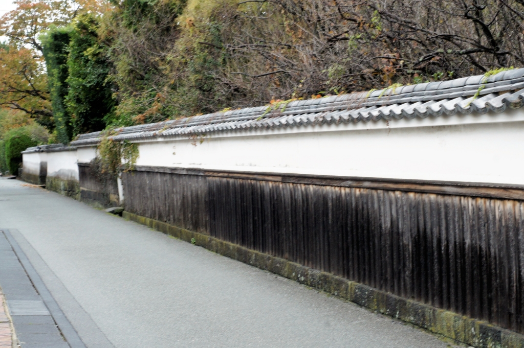 f:id:kameKiKu:20161116213727j:plain f:id:kameKiKu:20161116213727j:plain