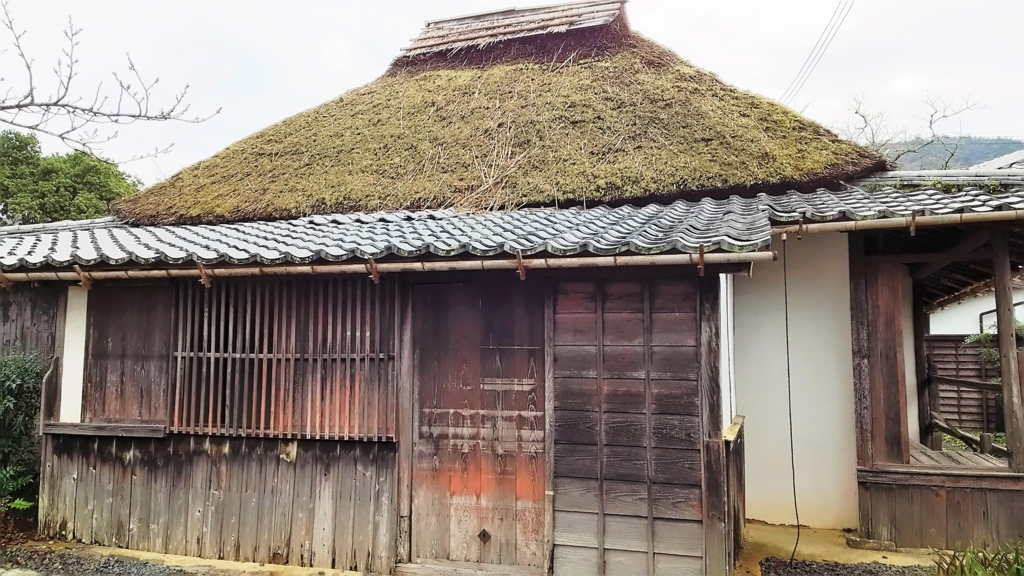 f:id:kameKiKu:20161116214720j:plain f:id:kameKiKu:20161116214720j:plain