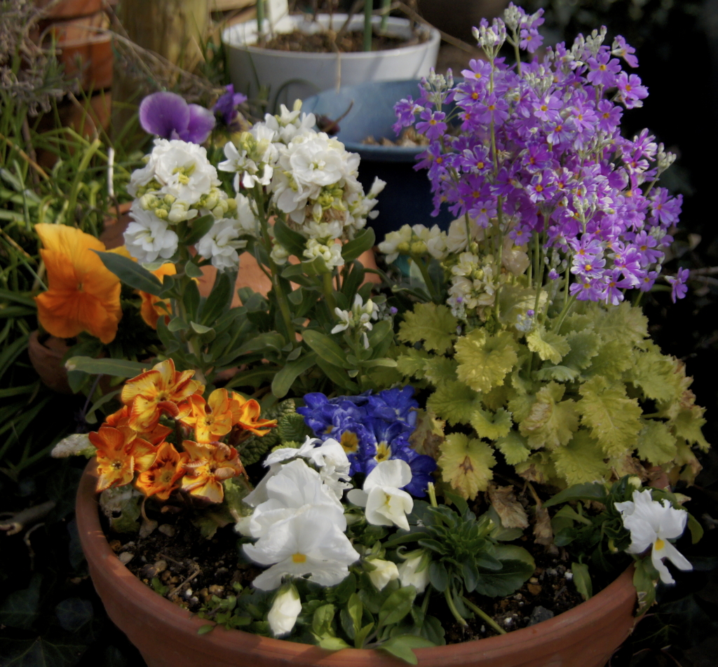 f:id:kameKiKu:20170326111816j:plain