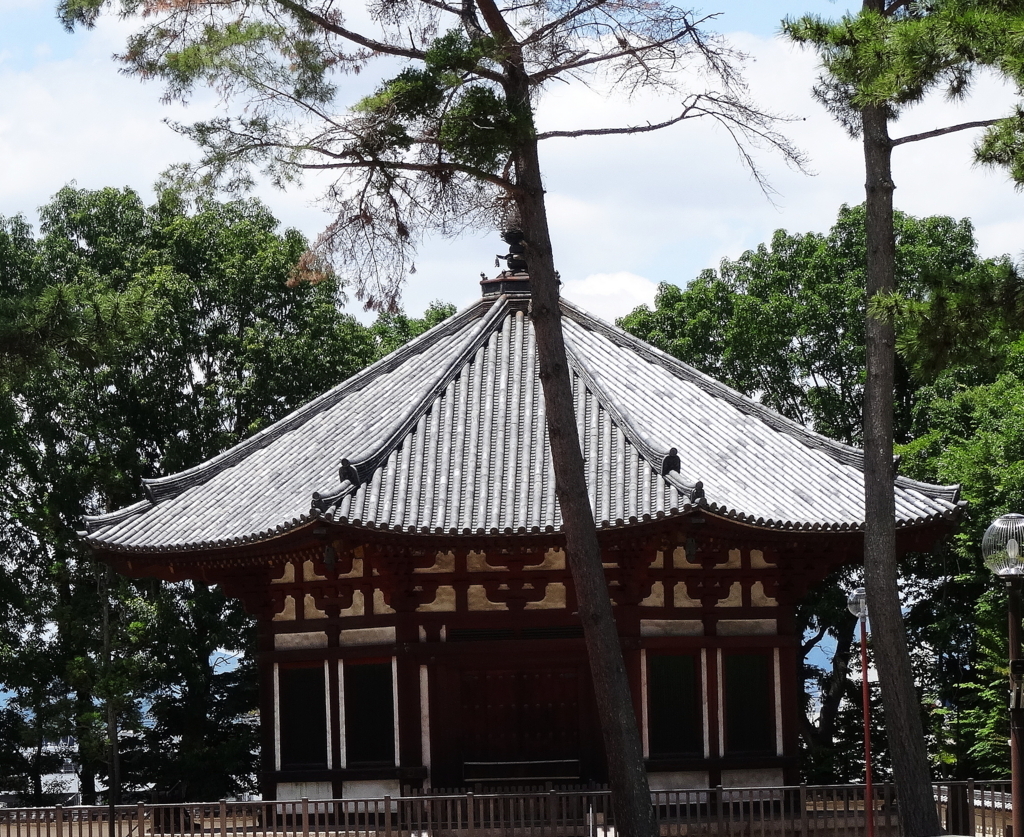 f:id:kameKiKu:20170614153951j:plain f:id:kameKiKu:20170614153951j:plain