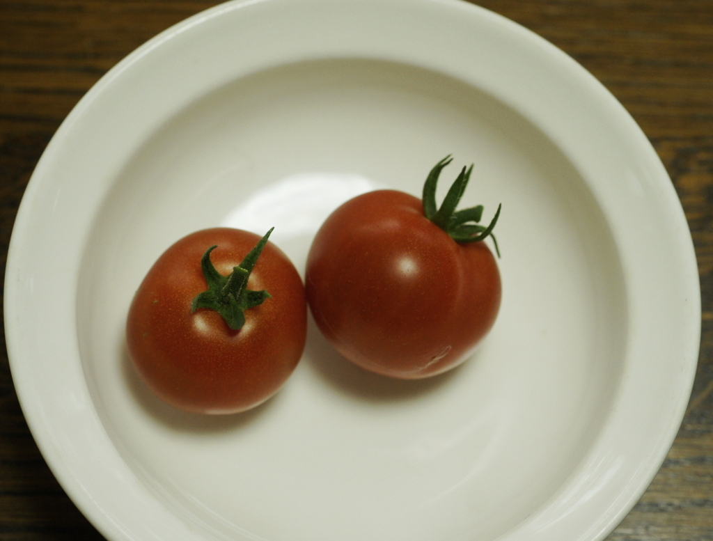 f:id:kameKiKu:20170620193526j:plain f:id:kameKiKu:20170620193526j:plain