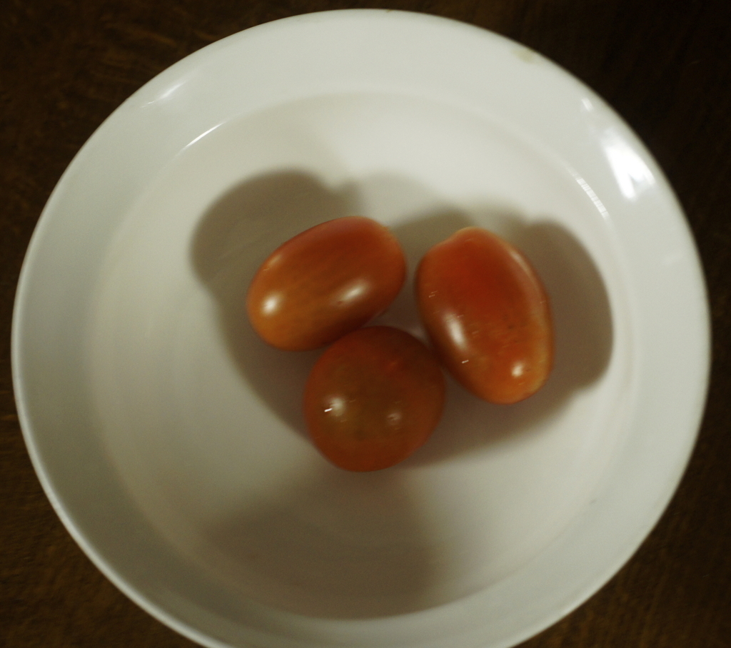 f:id:kameKiKu:20180713205232j:plain