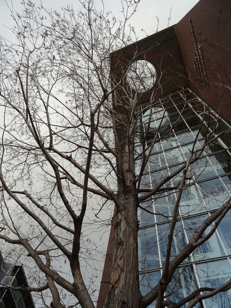 f:id:kameKiKu:20190120232712j:plain