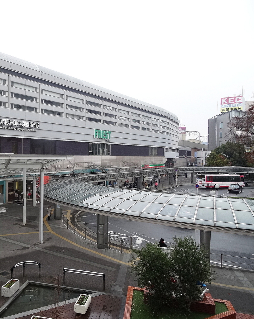 f:id:kameKiKu:20190120232733j:plain