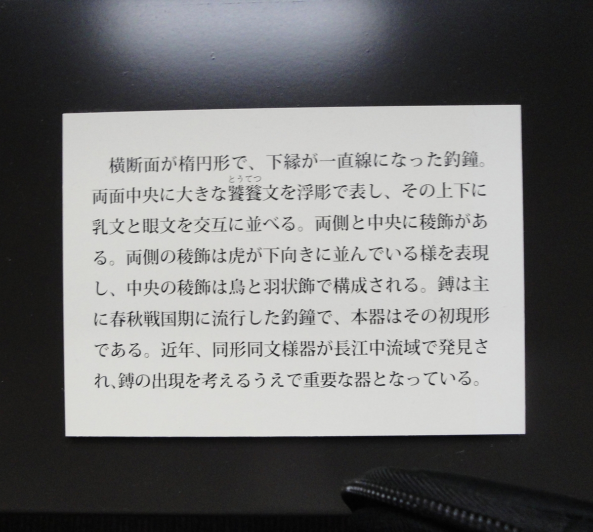 f:id:kameKiKu:20191001200516j:plain