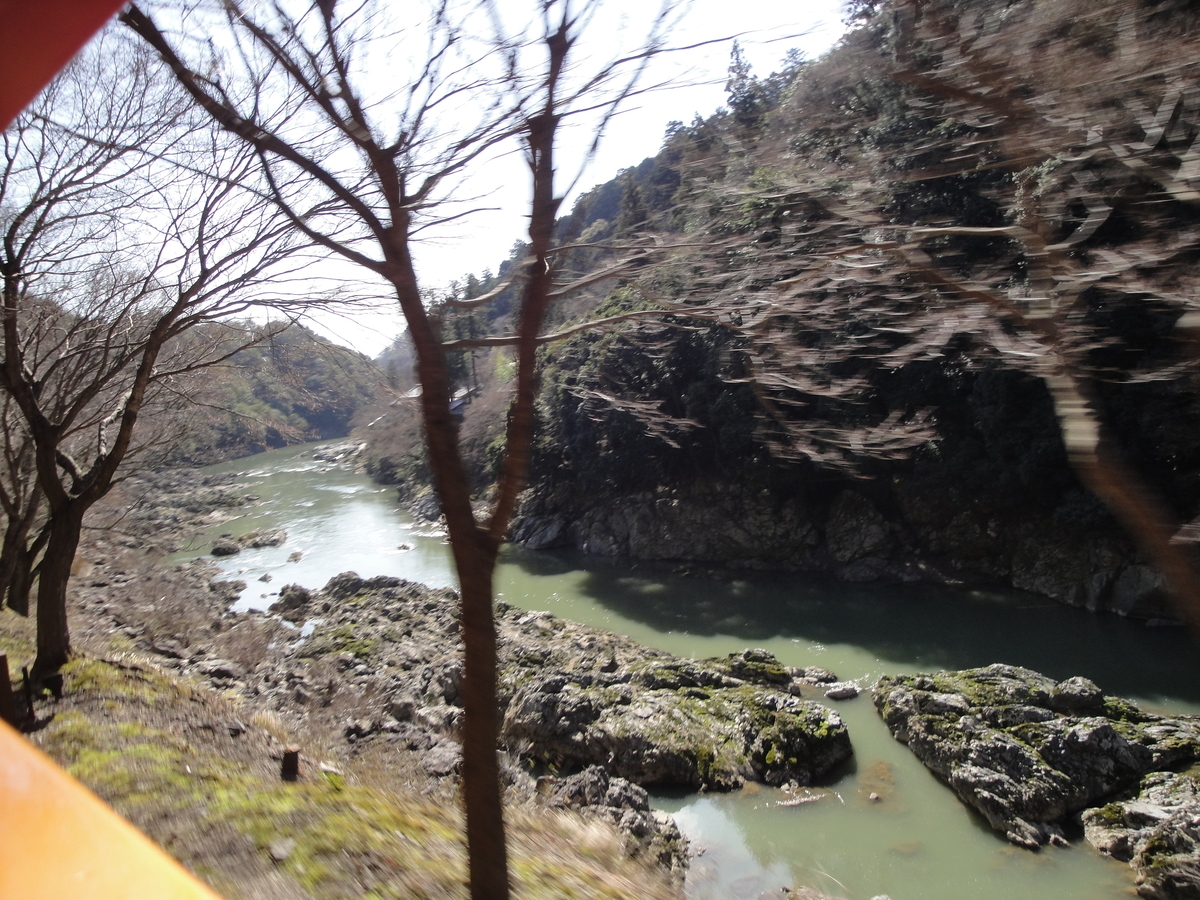 f:id:kameKiKu:20200312094530j:plain f:id:kameKiKu:20200312094530j:plain
