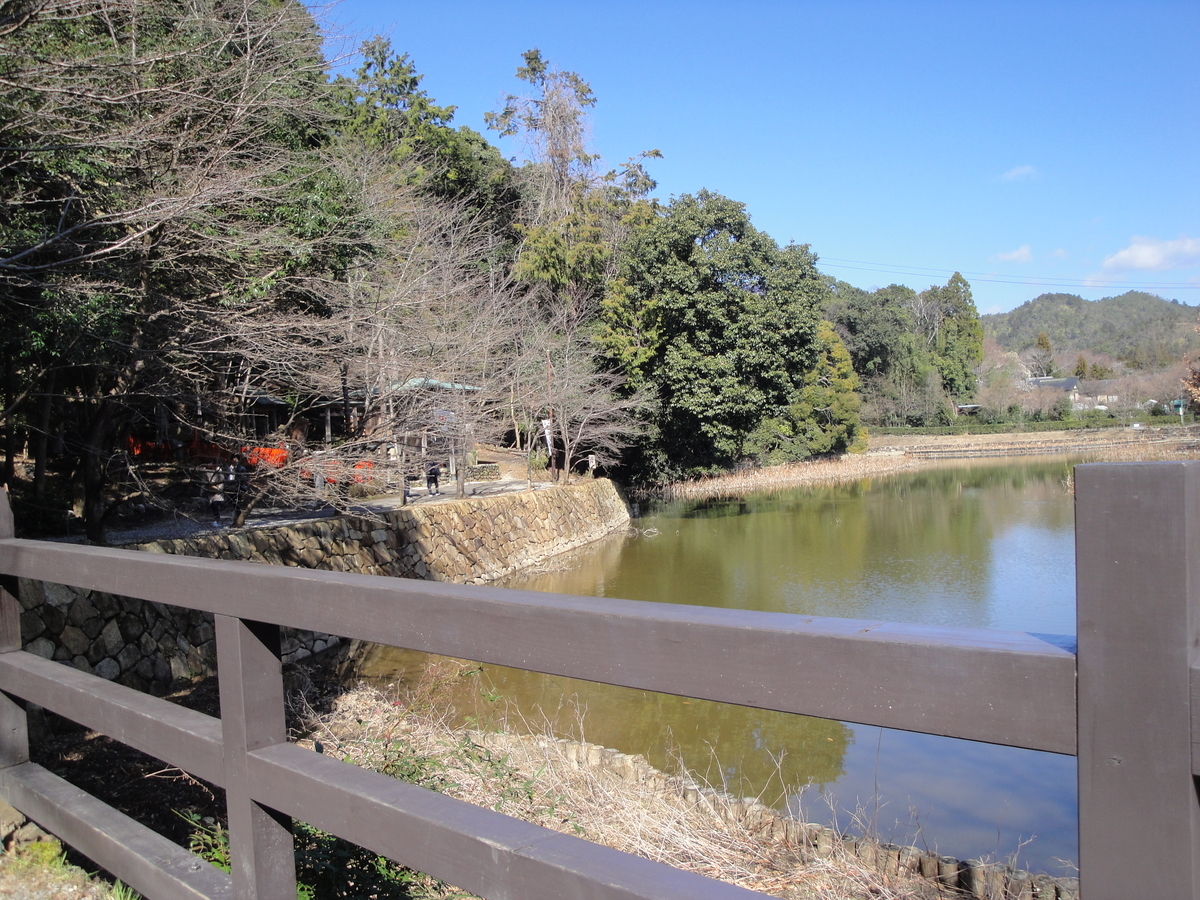 f:id:kameKiKu:20200312095556j:plain f:id:kameKiKu:20200312095556j:plain