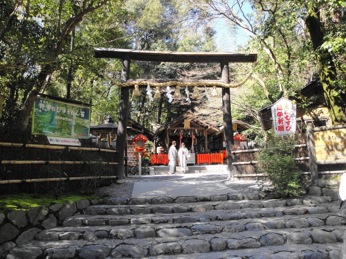 f:id:kameKiKu:20200312101339j:plain f:id:kameKiKu:20200312101339j:plain