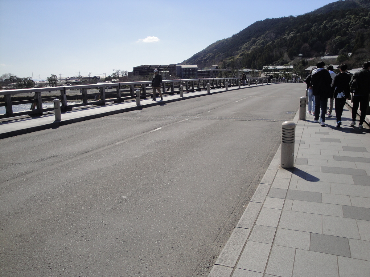 f:id:kameKiKu:20200312103707j:plain f:id:kameKiKu:20200312103707j:plain