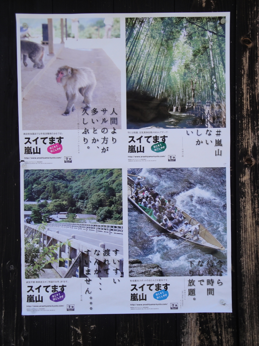 f:id:kameKiKu:20200312110302j:plain f:id:kameKiKu:20200312110302j:plain