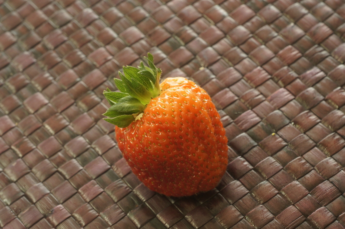 f:id:kameKiKu:20200530150953j:plain