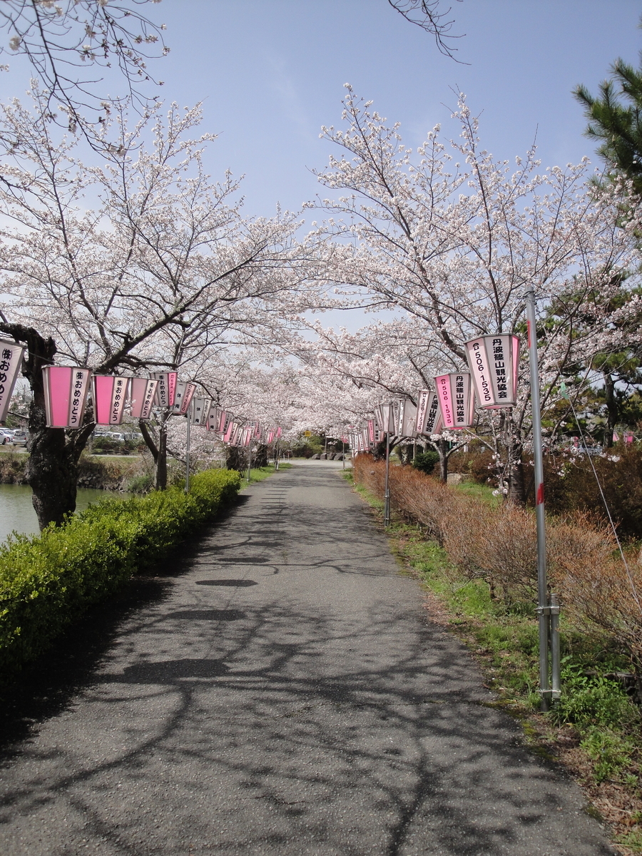 f:id:kameKiKu:20210329184102j:plain
