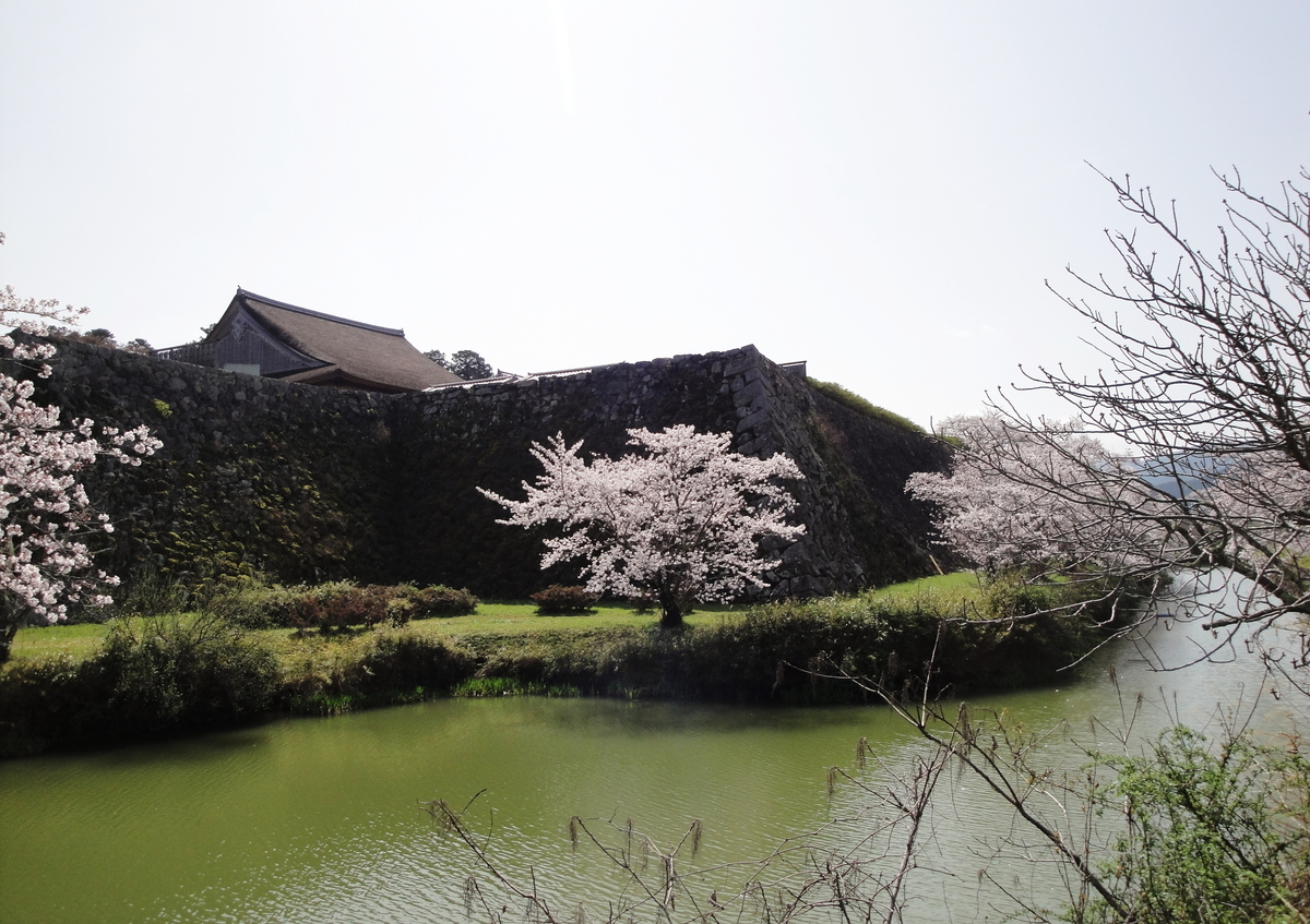 f:id:kameKiKu:20210329184639j:plain